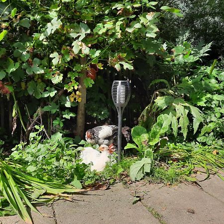 De Akker, Unieke Overnachting In Pipowagens! Ommeren ภายนอก รูปภาพ